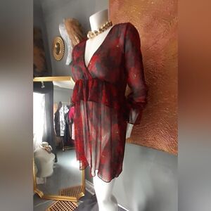 Zara Chiffon Sheer Ruffled Mini Dress